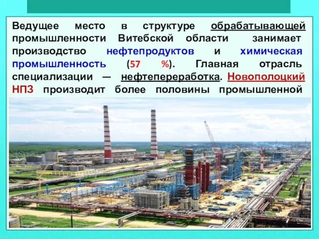 Ведущее место в структуре обрабатывающей промышленности Витебской области занимает производство нефтепродуктов и