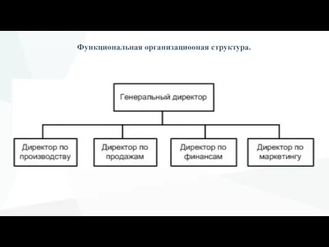 Функциональная организациооная структура.