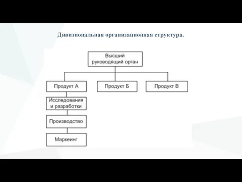 Дивизиональная организационная структура.