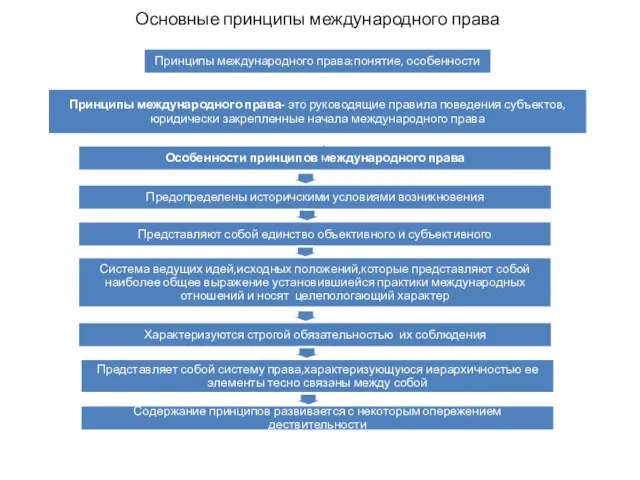 Основные принципы международного права Принципы международного права:понятие, особенности Принципы международного права- это