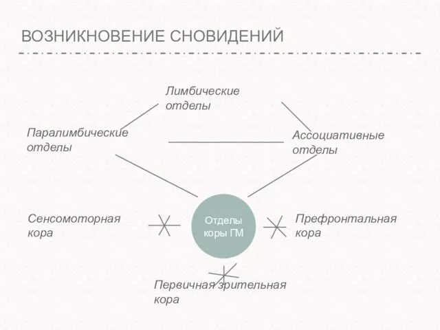 ВОЗНИКНОВЕНИЕ СНОВИДЕНИЙ Лимбические отделы Паралимбические отделы Ассоциативные отделы Отделы коры ГМ Префронтальная