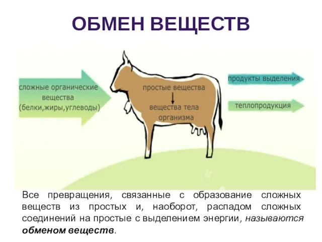 ОБМЕН ВЕЩЕСТВ Все превращения, связанные с образование сложных веществ из простых и,