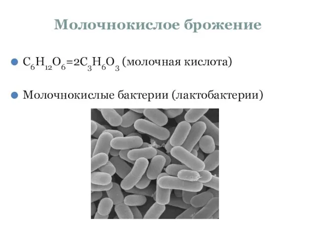 Молочнокислое брожение С6Н12О6=2С3Н6О3 (молочная кислота) Молочнокислые бактерии (лактобактерии)