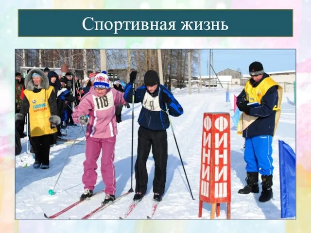 Спортивная жизнь