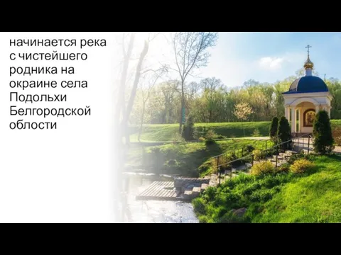 начинается река с чистейшего родника на окраине села Подольхи Белгородской облости