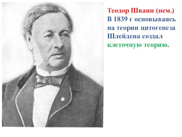 Теодор Шванн (нем.) В 1839 г основываясь на теории цитогенеза Шлейдена создал клеточную теорию.