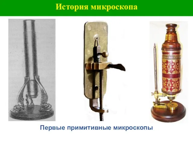 История микроскопа Первые примитивные микроскопы