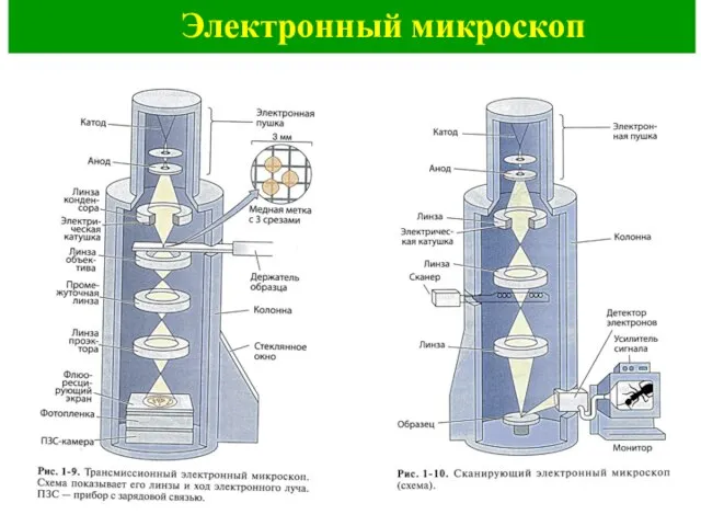 Электронный микроскоп