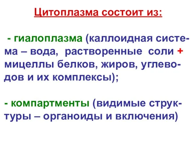 Цитоплазма состоит из: - гиалоплазма (каллоидная систе-ма – вода, растворенные соли +