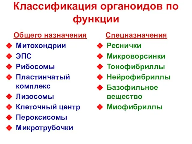 Классификация органоидов по функции Общего назначения Митохондрии ЭПС Рибосомы Пластинчатый комплекс Лизосомы