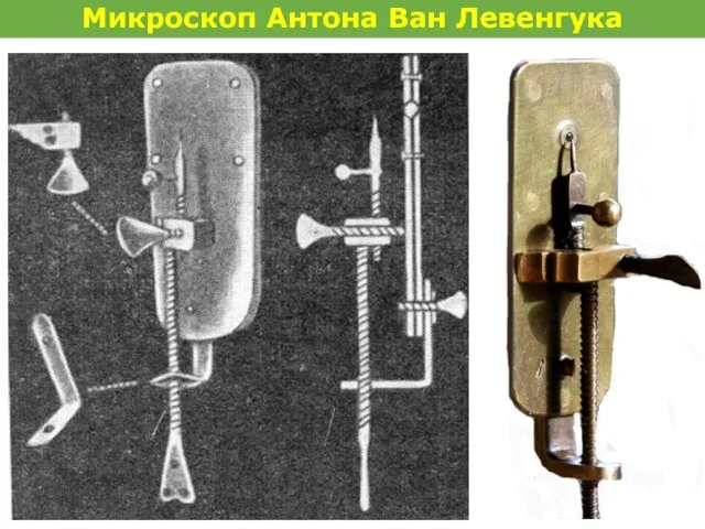 Микроскоп Антона Ван Левенгука