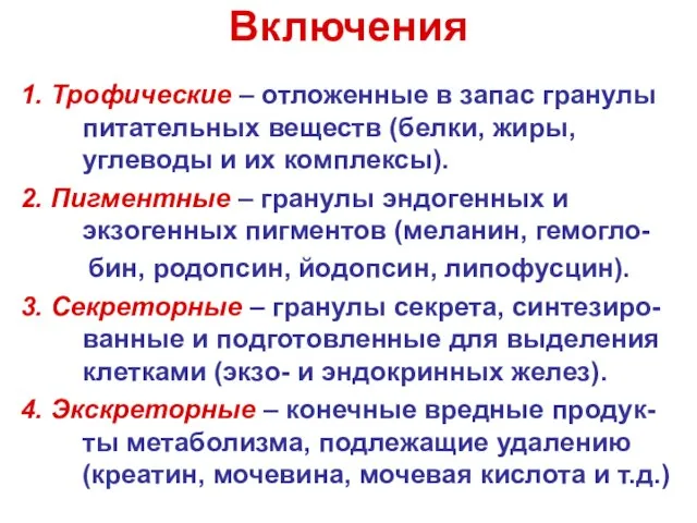 Включения 1. Трофические – отложенные в запас гранулы питательных веществ (белки, жиры,