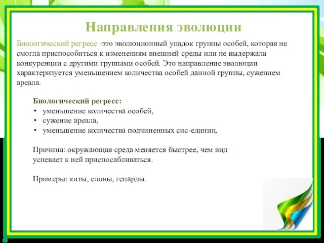 Направления эволюции Биологический регресс -это эволюционный упадок группы особей, которая не смогла