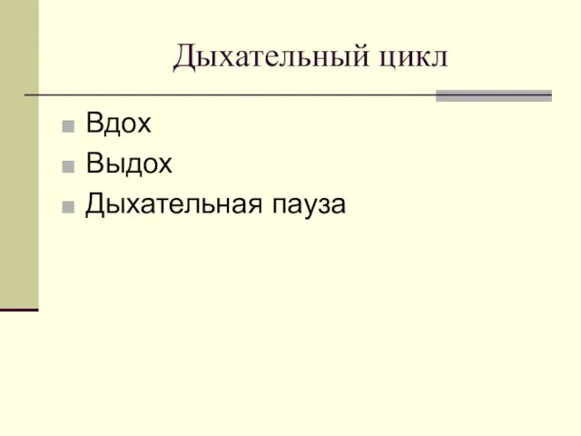 Дыхательный цикл Вдох Выдох Дыхательная пауза