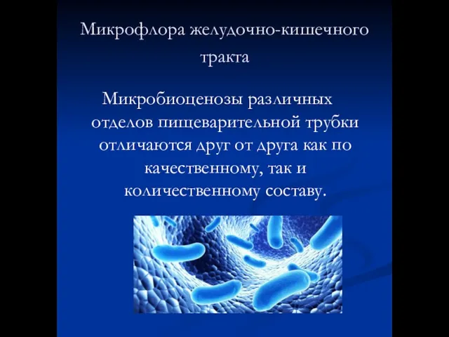 Микрофлора желудочно-кишечного тракта Микробиоценозы различных отделов пищеварительной трубки отличаются друг от друга