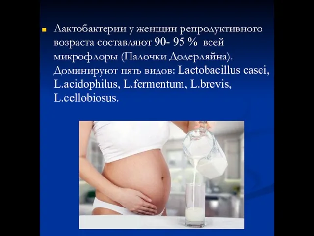 Лактобактерии у женщин репродуктивного возраста составляют 90- 95 % всей микрофлоры (Палочки