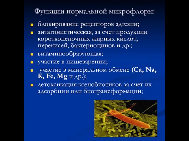 Функции нормальной микрофлоры: блокирование рецепторов адгезии; антагонистическая, за счет продукции короткоцепочных жирных