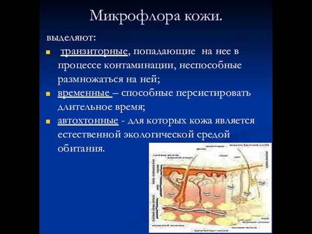 Микрофлора кожи. выделяют: транзиторные, попадающие на нее в процессе контаминации, неспособные размножаться