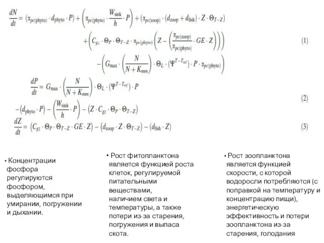 Концентрации фосфора регулируются фосфором, выделяющимся при умирании, погружении и дыхании. Рост фитопланктона