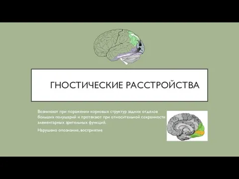 ГНОСТИЧЕСКИЕ РАССТРОЙСТВА Возникают при поражении корковых структур задних отделов больших полушарий и