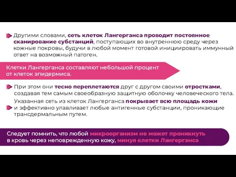 Другими словами, сеть клеток Лангерганса проводит постоянное сканирование субстанций, поступающих во внутреннюю