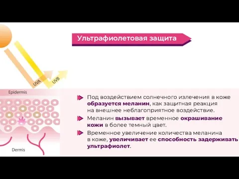 Под воздействием солнечного излечения в коже образуется меланин, как защитная реакция на