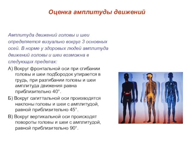 Амплитуда движений головы и шеи определяется визуально вокруг 3 основных осей. В