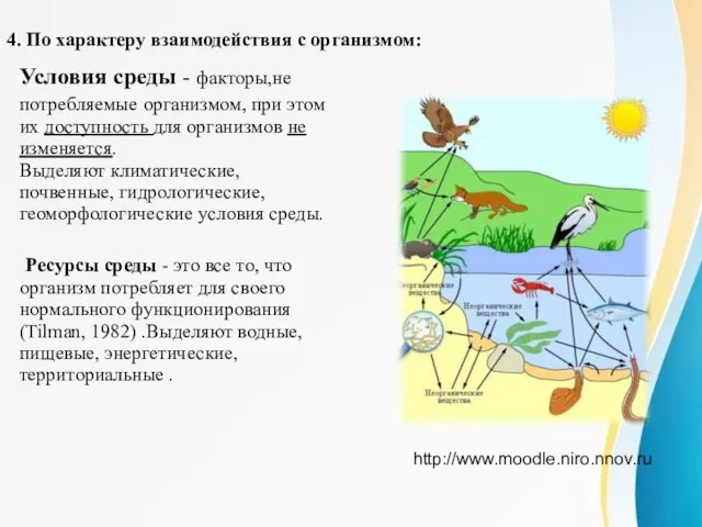 Условия среды - факторы,не потребляемые организмом, при этом их доступность для организмов