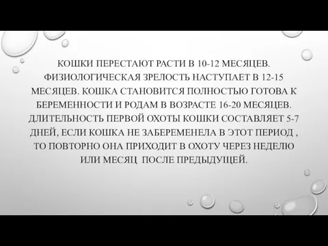 КОШКИ ПЕРЕСТАЮТ РАСТИ В 10-12 МЕСЯЦЕВ. ФИЗИОЛОГИЧЕСКАЯ ЗРЕЛОСТЬ НАСТУПАЕТ В 12-15 МЕСЯЦЕВ.