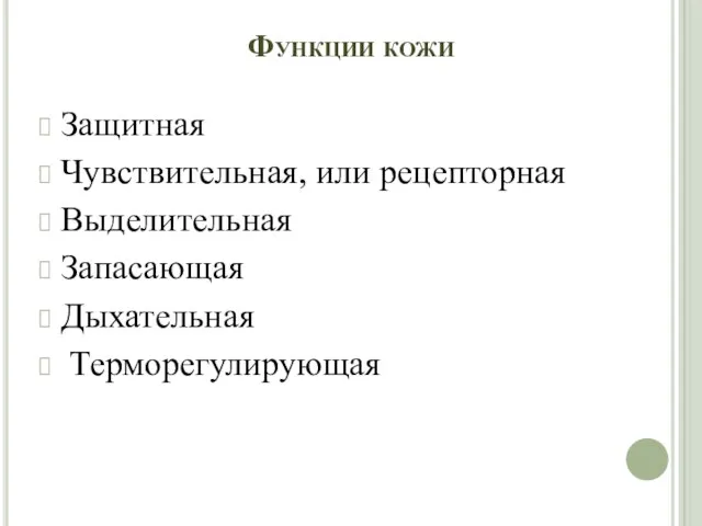 Функции кожи Защитная Чувствительная, или рецепторная Выделительная Запасающая Дыхательная Терморегулирующая