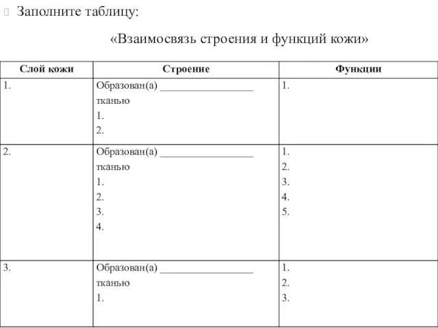 Заполните таблицу: «Взаимосвязь строения и функций кожи»