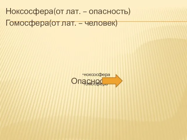 Ноксосфера(от лат. – опасность) Гомосфера(от лат. – человек) Опасность ноксосфера гомосфера