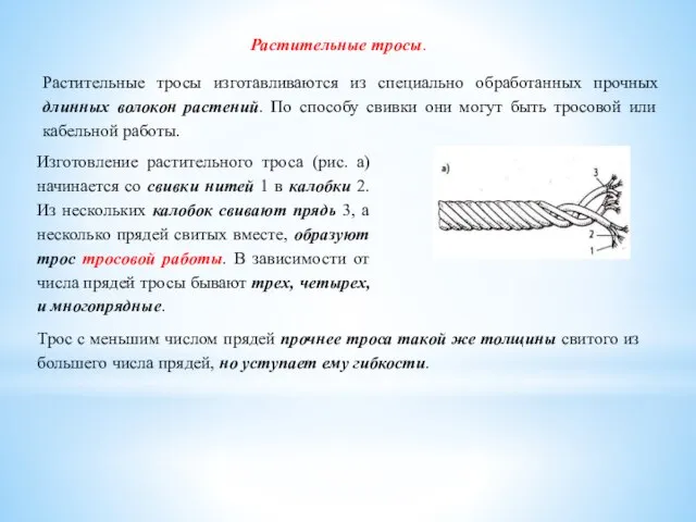 Растительные тросы. Растительные тросы изготавливаются из специально обработанных прочных длинных волокон растений.