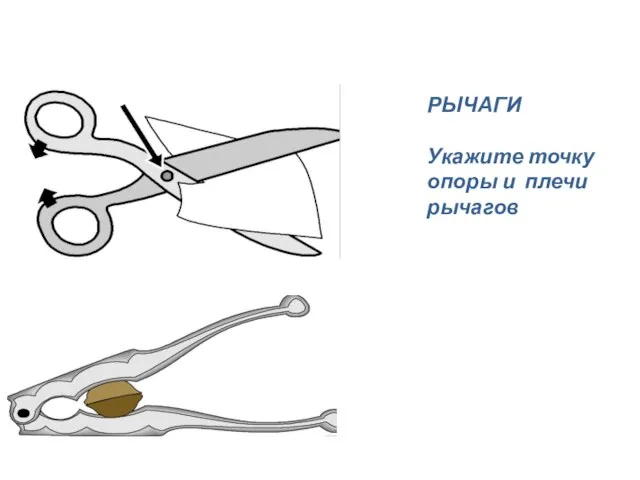 РЫЧАГИ Укажите точку опоры и плечи рычагов