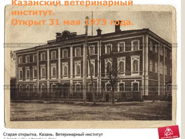 Казанский ветеринарный институт. Открыт 31 мая 1973 года.