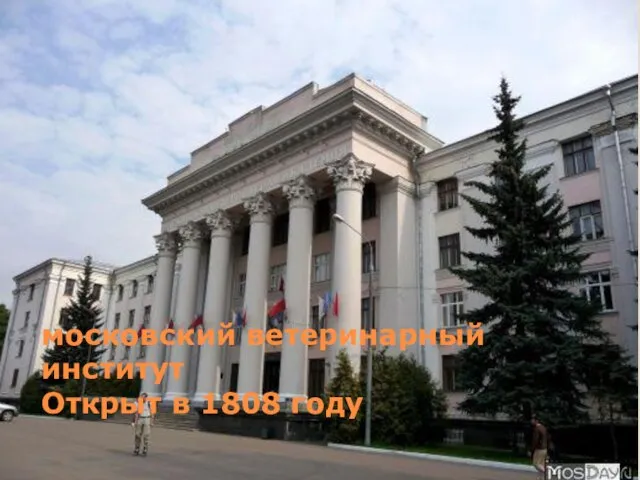 московский ветеринарный институт Открыт в 1808 году