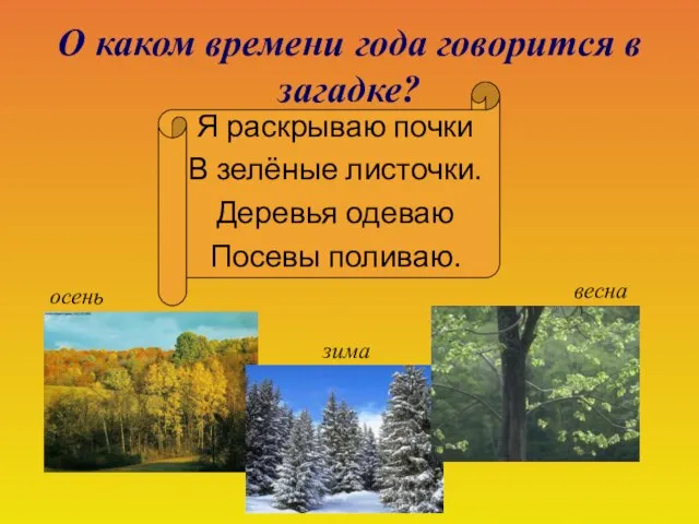 О каком времени года говорится в загадке? Я раскрываю почки В зелёные