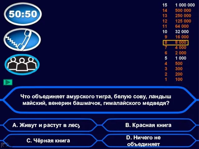 Что объединяет амурского тигра, белую сову, ландыш майский, венерин башмачок, гималайского медведя?