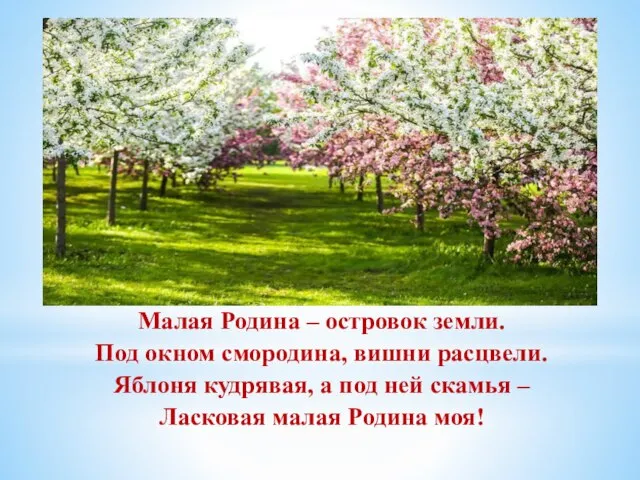 Малая Родина – островок земли. Под окном смородина, вишни расцвели. Яблоня кудрявая,