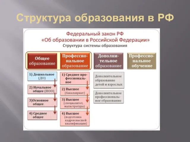 Структура образования в РФ