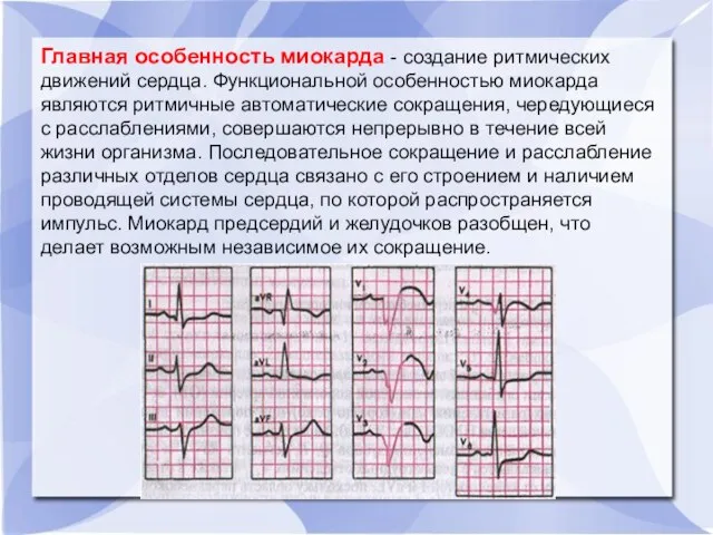 Главная особенность миокарда - создание ритмических движений сердца. Функциональной особенностью миокарда являются