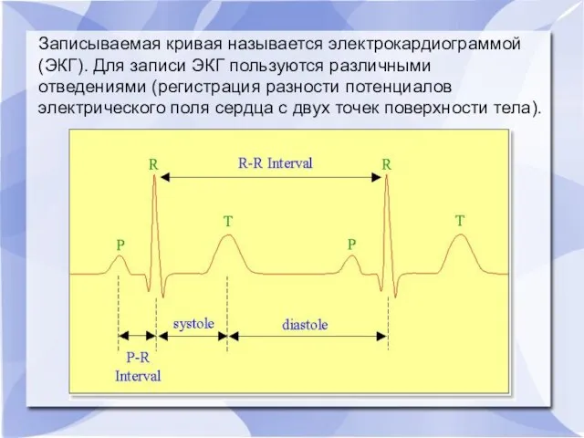 Записываемая кривая называется электрокардиограммой (ЭКГ). Для записи ЭКГ пользуются различными отведениями (регистрация