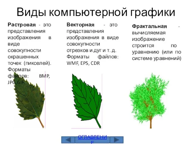 Виды компьютерной графики Растровая - это представления изображения в виде совокупности окрашенных