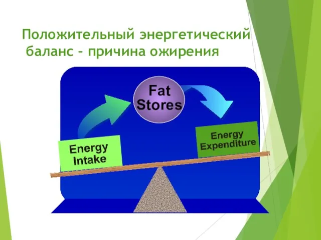 Положительный энергетический баланс – причина ожирения
