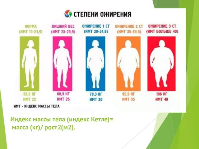 Индекс массы тела (индекс Кетле)= масса (кг)/ рост2(м2).