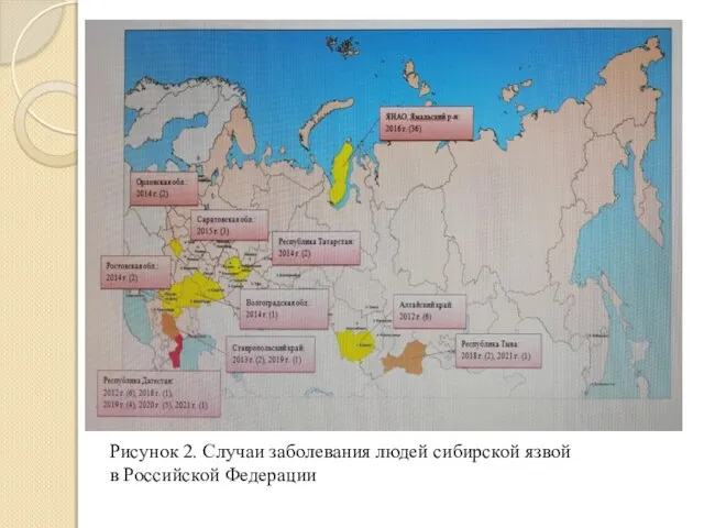 Рисунок 2. Случаи заболевания людей сибирской язвой в Российской Федерации