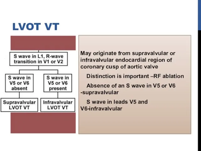 May originate from supravalvular or infravalvular endocardial region of coronary cusp of