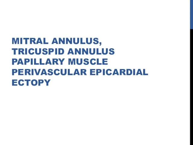 MITRAL ANNULUS, TRICUSPID ANNULUS PAPILLARY MUSCLE PERIVASCULAR EPICARDIAL ECTOPY