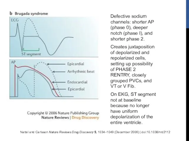 Nattel and Carlsson Nature Reviews Drug Discovery 5, 1034–1049 (December 2006) |