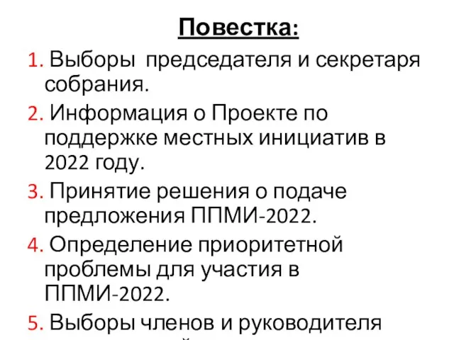 Повестка: 1. Выборы председателя и секретаря собрания. 2. Информация о Проекте по